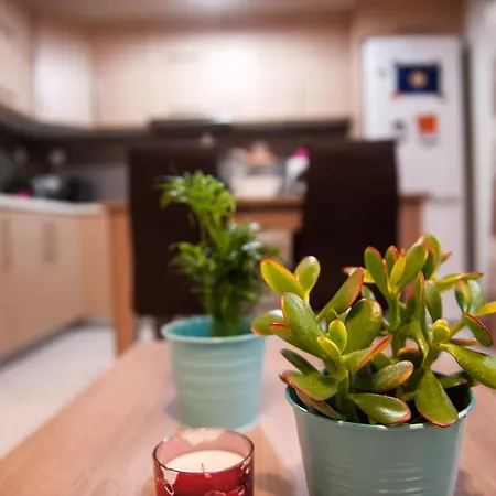 City House Apartment